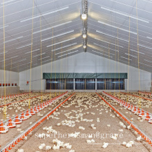 Equipo de aves de corral controlado por el medio ambiente para asador